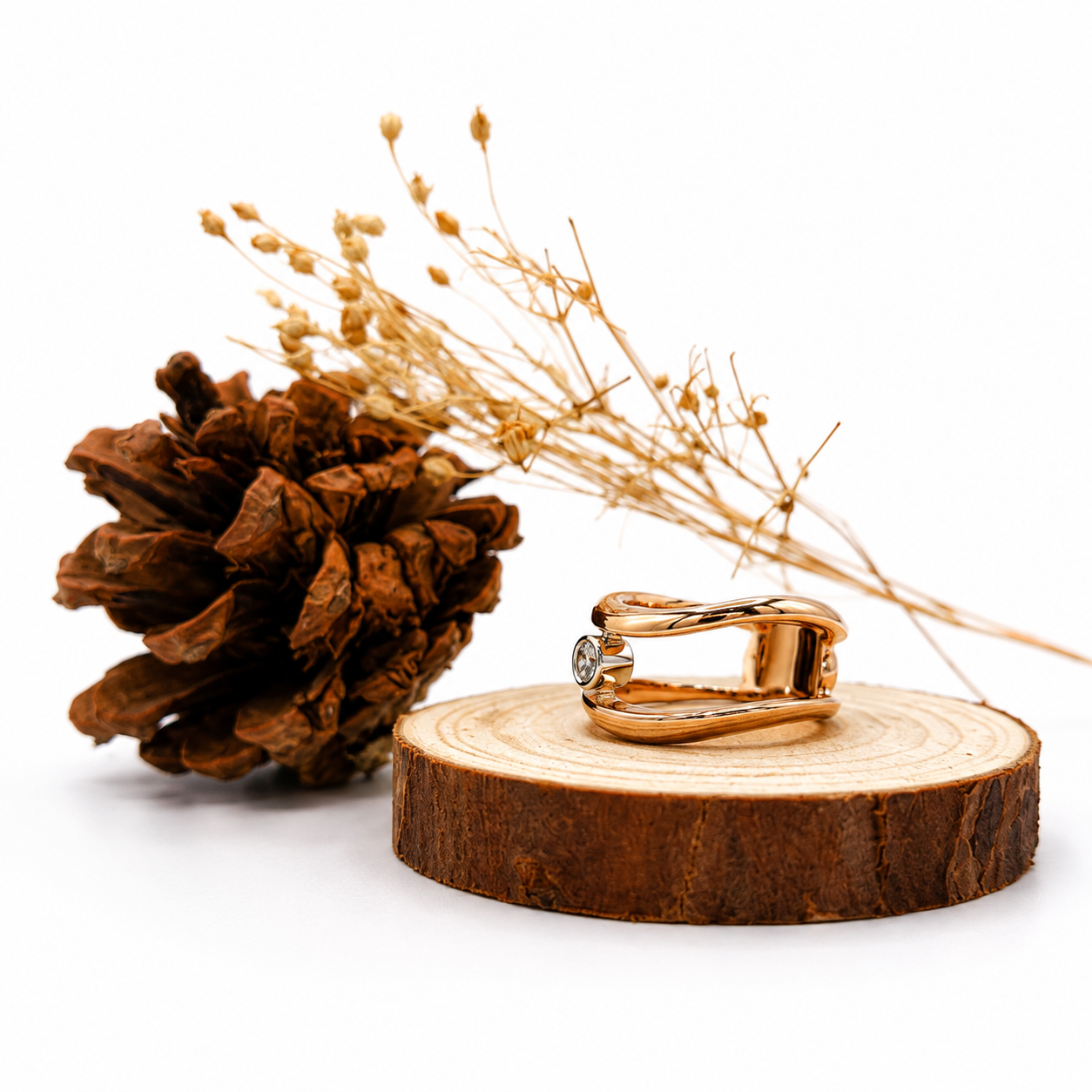 Anillo alas de oro