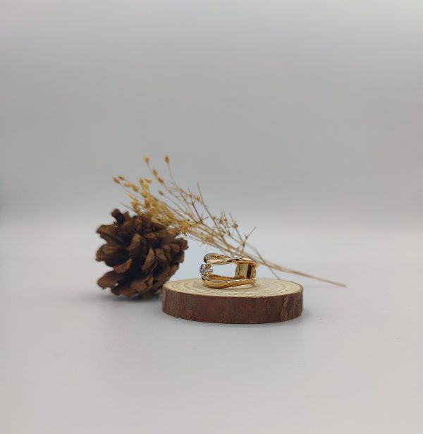 Anillo alas de oro - Imagen 3