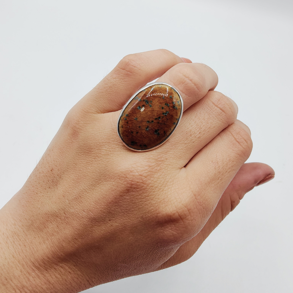 Anillo mar de marrones