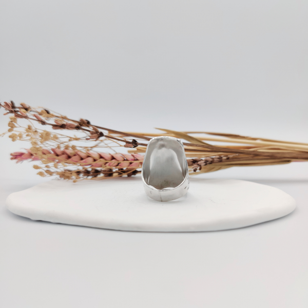 Anillo líneas pasadas