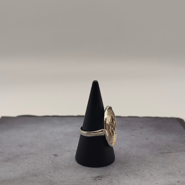 anillo redondo