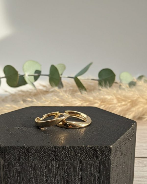 Pendiente Aro de Oro 18K